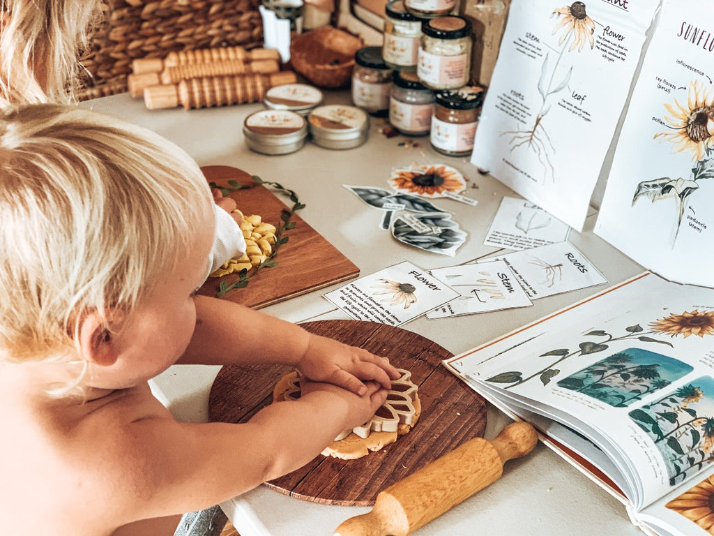 US stockist of Kinfolk Pantry's, non toxic, large Sunflower Eco Cutter.  Made from recycled wood mill sawdust and plant based biodegradable plastic.  Made for cookie or play dough.