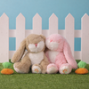 US stockist of Olli Ella's Bunny Hop Backyard Binky