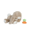 US stockist of Olli Ella's Bunny Hop Backyard Binky