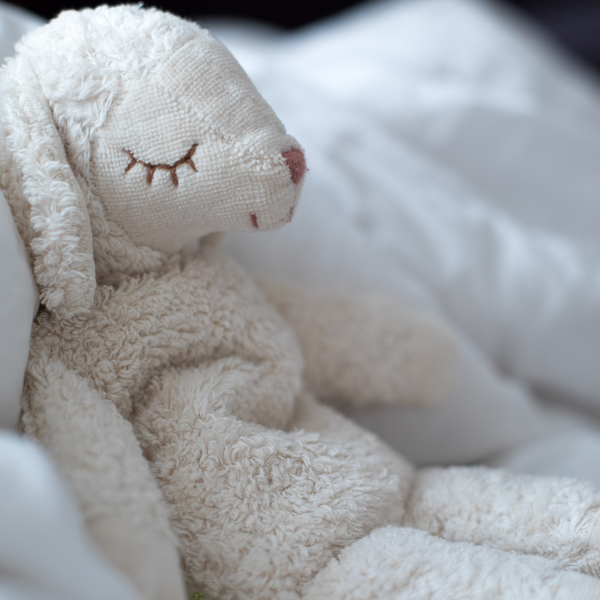 Y21006_5_grande.png?v=1691699864