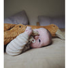 US stockist of Senger Naturwelt's small Rust Cuddly Goose