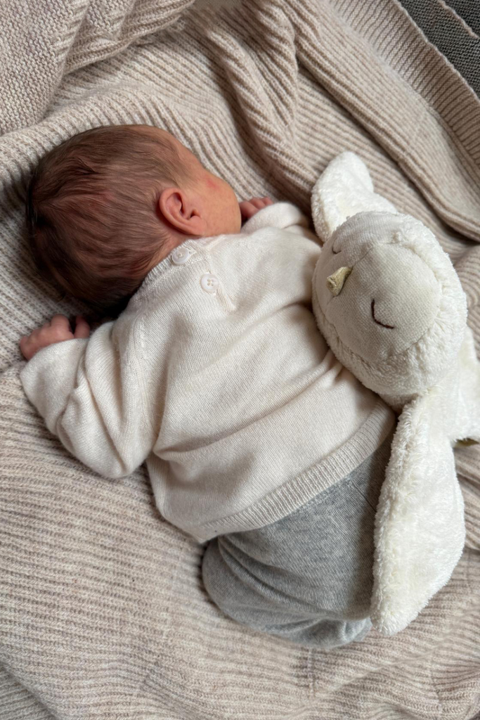 US stockist of Senger Naturwelt's Small Cuddly Snowy Owl