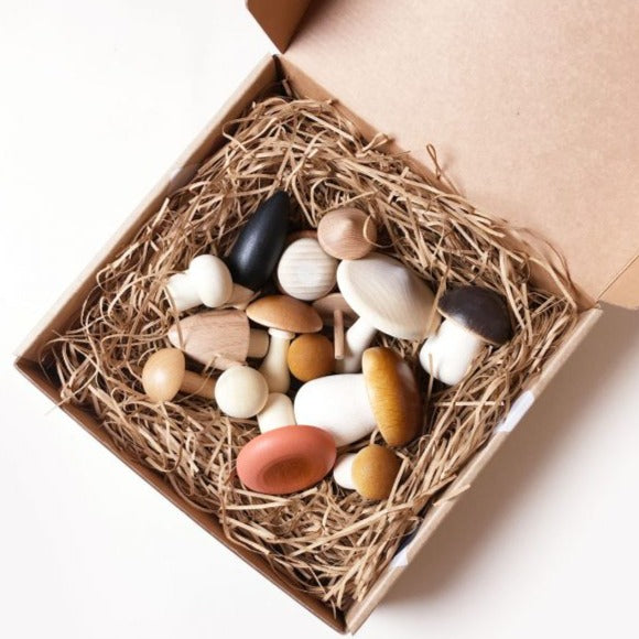 Moon Picnic Forest Mushrooms in a Box – The Little Kiwi Co