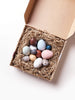 US stockist of Moon Picnic's dozen bird eggs in a box.