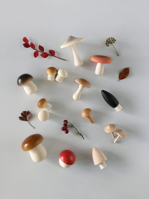 Stockist of Moon Picnic's Mushrooms in a box.  Set of 15 different wooden mushrooms made from beech wood which arrive in a box.