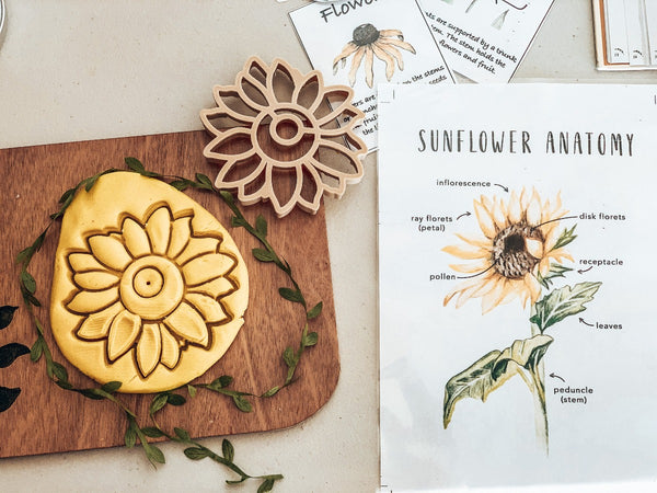 US stockist of Kinfolk Pantry's, non toxic, large Sunflower Eco Cutter.  Made from recycled wood mill sawdust and plant based biodegradable plastic.  Made for cookie or play dough.